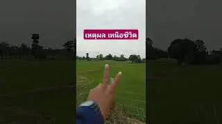 เหตุผล เหนือชีวิต #ชีวิตต้องสู้ #ชีวิตในต่างแดน #เกษตรพอเพียง #ท่องเที่ยวสวยงาม