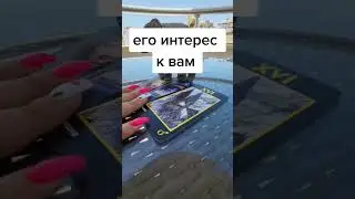 Интерес #никкиами