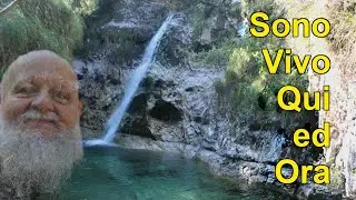 Sono Vivo Qui ed Ora