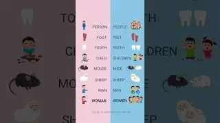 Irregular Plural Nouns in English - Singular and Plural Nouns
