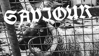 Slipknot Style Evil Death Metal - SAVIOUR [Official Video] ft. Al Atkins (Judas Priest) Introduction