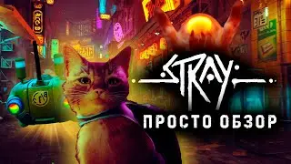 Простое Прохождение STRAY | STRAY за 26 минут | Обзор STRAY | Как Играется в STRAY