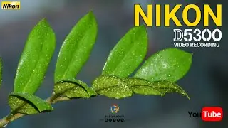 Nikon d5300 | Video Recording | 18-105mm Lens | Full HD Review | @nikonind