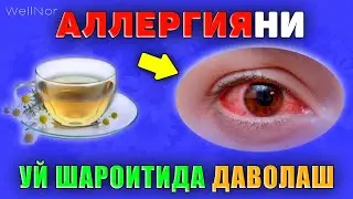 АЛЛЕРГИЯНИ УЙ ШАРОИТИДА ДАВОЛАШ УСУЛЛАРИ! 