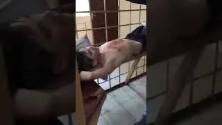 ЗАДЕРЖАЛИ СТРЕЛКА, КОТОРЫЙ ВОРВАЛСЯ В ШКОЛУ В КАЗАНИ