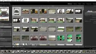 Mi primera vez con  Adobe Photoshop Lightroom Classic (Módulo biblioteca 1)