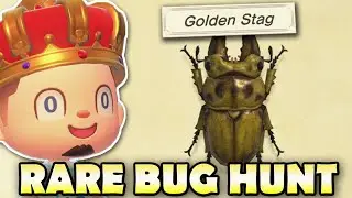 🐛 [JULY] CATCHING ALL NEW BUGS! Animal Crossing New Horizons RARE BUG HUNT!