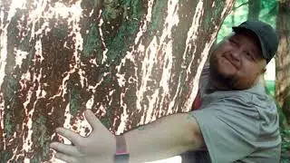 ПРИЕХАЛИ! УЛЬЯНОВСК | МУЗ-ТВ