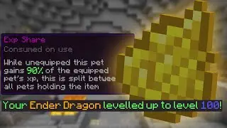 The Hidden SECRET About the EXP SHARE... | Hypixel Skyblock