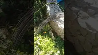 ТУННЕЛИ ДЛЯ КЛУБНИКИ.