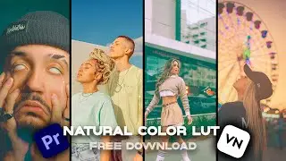 Natural Color Lut | Cinematic Lut Color Grading | Adobe premiere pro free luts | Free VN Luts