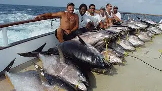 The Fastest Greatest Giant Bluefin Tuna Fishing Skills- Handline Fishing In The Sea