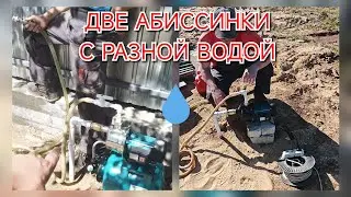 ✌️АБИССИНКИ С РАЗНОЙ ВОДОЙ🚰🚱#абиссинскаяскважина #свояскважина52 #абиссинскийколодец #shorts
