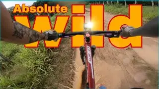 Absolute wild na trilha 