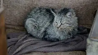 Губы окаянные под укулеле... Мы все поем с Жоркой!!!