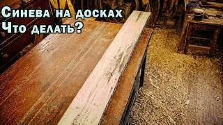 Синева на досках - что делать?