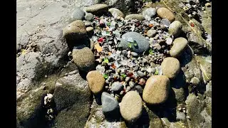 Explore Glass Beach and Visit the Glass Museum in Fort Bragg