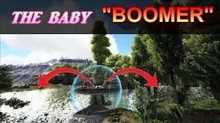 THE BABY BOOMER