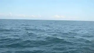 DSC 0013