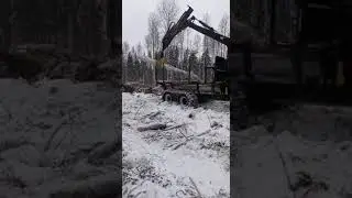 Практика на форвардере. Погрузка леса