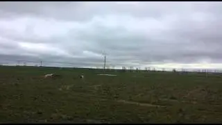 Gitanos de cantalejo cazando en atakines