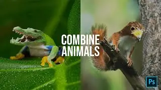 How to combine animals in Photoshop | 1 minute tutorial