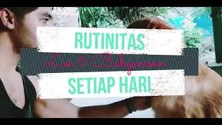 Rutinitas Babymoon the golden retriever