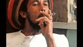 Bob Marley -- Sunshine Reggae