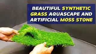 First setup synthetic grass aquascape using plastic plant and artificial rock moss decorastion