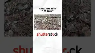 Cara Jual Foto ke Shutterstock, Cara Upload Foto ke Shutterstock