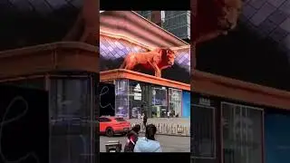 is it real