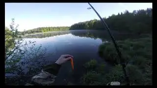 Пролётная рыбалка 2019