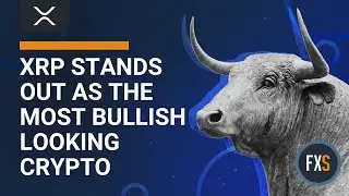 XRP price stands out as the most bullish looking crypto