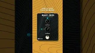 Mary Cries: Subtle Tone Thickening | Tone Sample | PRS Guitars 