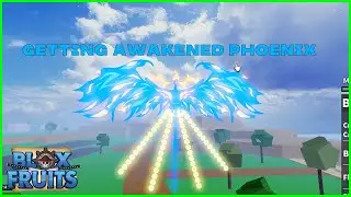Unlocking SSS+ Awakened Phoenix - BLOX FRUIT