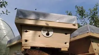 возвращение матки с облета