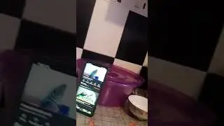 просто кеша 😁👍 just a keg 👍😁