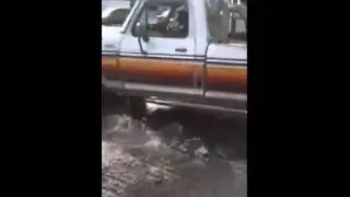 Man Leaves Truck Running While He Goes Shopping And It Slips Into Gear