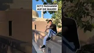 Setz Pashanim auf die Mauer! 🔥 | 