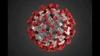 Corona Virus total cases all over the world  by | Muhammad Haroon 394 |