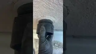 2-Year Rat Infestation Mystery Solved!