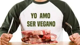 La imagen en la comunicación visual:  OVA23