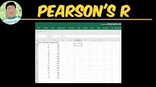 How to get the Pearson's R Coefficient using Microsoft Excel