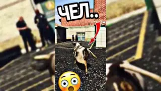 🎅ПРЕВРАТИЛСЯ И СТАЛ КОРОВОЙ в GTA 5 !