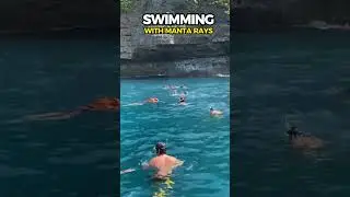 Swimming with Manta Rays in Nusa Penida Island #shorts  #mantarays #mantapoint