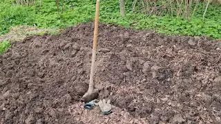 Весёлый вечер, начало пахоты и девицы-трудоголики