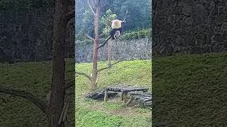 Tik Tok Cringe 2022 | Tik Tok Funny of 2022