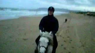 Gallop 2