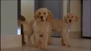 Air Buddies parte 4 español