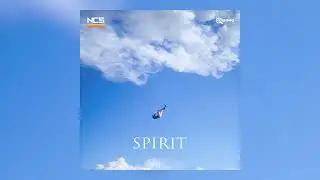 PLEEG - Spirit (NCS Release)